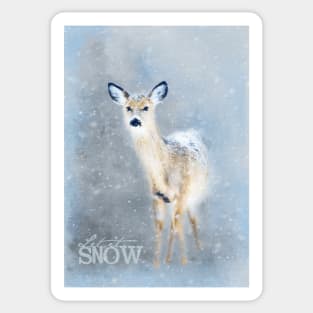 Doe In The Snow Sticker